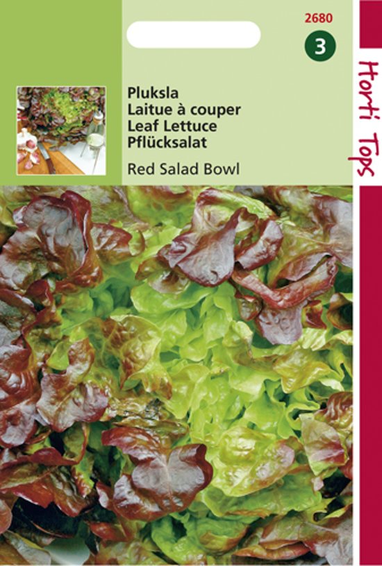 Eikenbladsla rood (Lactuca) 2000 zaden HT